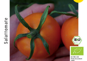 Salattomate Auriga
