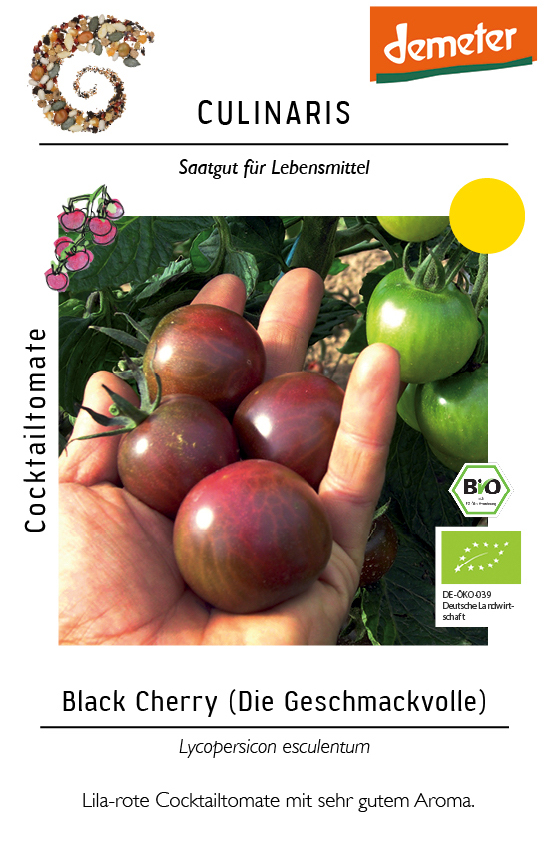 Cocktailtomate Black Cherry 1 Cocktailtomate Black Cherry