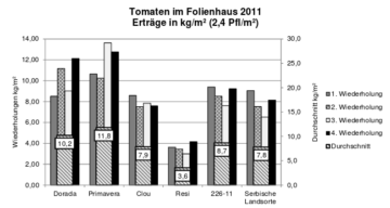 Neue kleinfrüchtige Tomatensorten mit erhöhter Widerstandkraft gegen Kraut - und Braunfäule 6 Tomaten im Foliengewächshaus