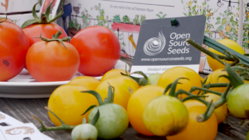 Innovationspreis des Landkreis Göttingen 2020 3 IP culinaris