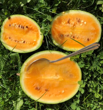 Wassermelone Solopoly (M12)