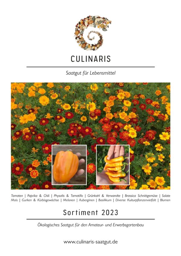 Katalog 2023 Titelblatt scaled