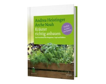 Kräuter richtig anbauen