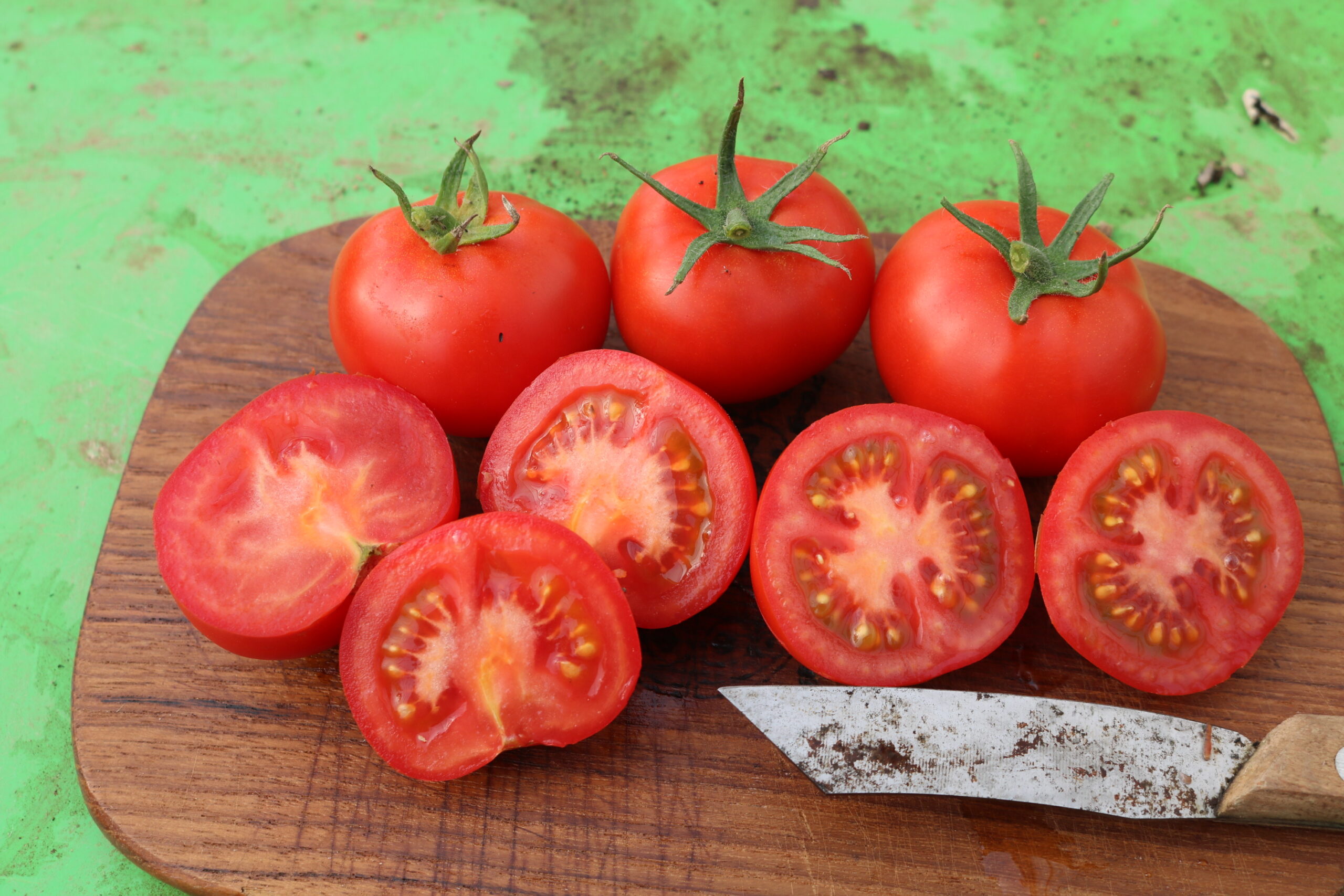 Salattomate 811-X 3 Salattomate 811-X – Bild 3